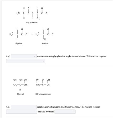 Solved For Each Pair Of Biomolecules Identify The Type Of Chegg