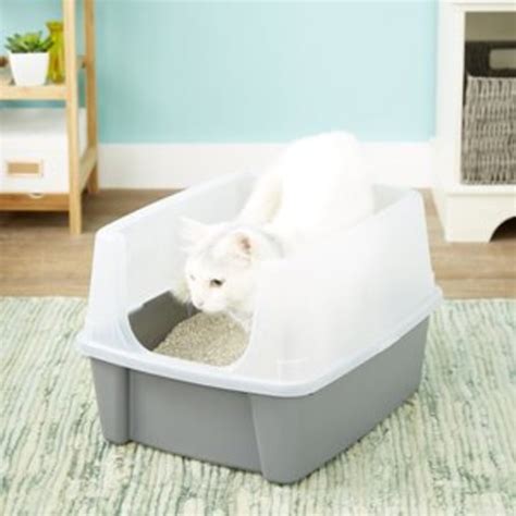 The Best Cat Litter Boxes Of 2024 According To Veterinarians