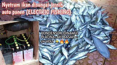 Setrum Ikan Disungai Jernih Pada Malam Hari Hasil Nya Diluar Nurul