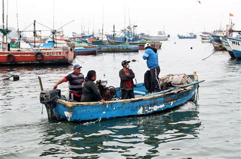 Instituto Geofísico Del Perú On Twitter Rt Minamperu 📢 Pesca 🐟