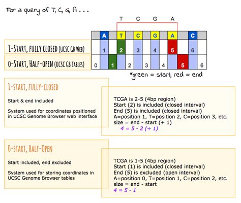 The Ucsc Genome Browser Coordinate Counting Systems Ucsc Genome