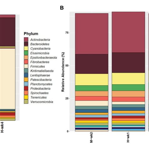 Overall Microbiota Composition Given By The Most Abundant A Phyla