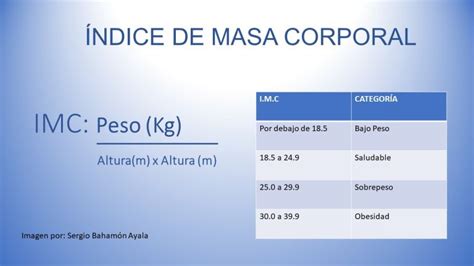 Como Calcular Tu 205 Ndice De Masa Corporal Mi Cuerpo Y El Tuyo Photos