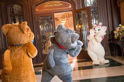 【公式】今日は猫の日♪｜東京ディズニーリゾート・ブログ 東京ディズニーリゾート