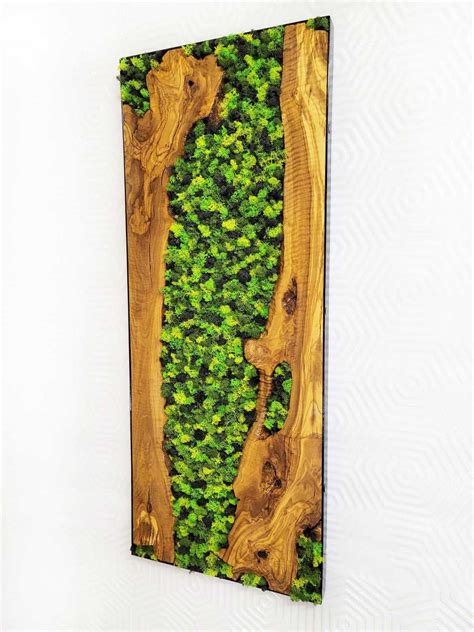 Moss Frame Preserved Moss Wall Decor Etsy