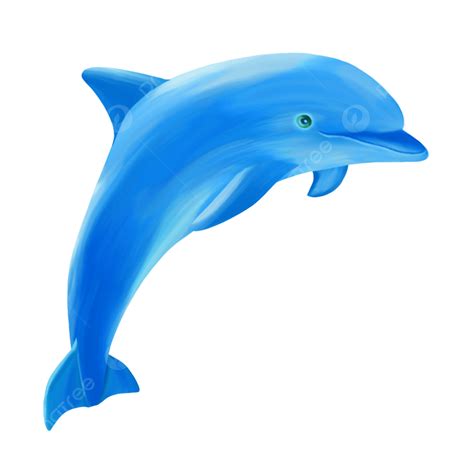 Dolphin Jumping Out Of Water Clipart