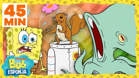 Bob Esponja 45 minutos de los animales más cool de Fondo de Bikini