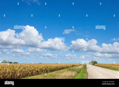 Iowa Cornbelt Hi Res Stock Photography And Images Alamy