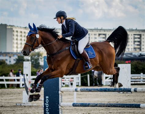 2024 Olympics Equestrian Tickets Price 2024au Kiele Cherice