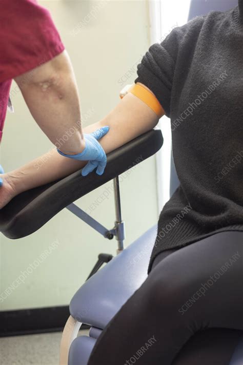 blood drawing procedure stock image  science photo library