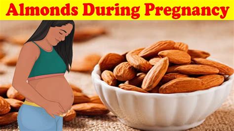 8 Health Benefits Of Raw And Soaked Almonds During Pregnancy Almonds