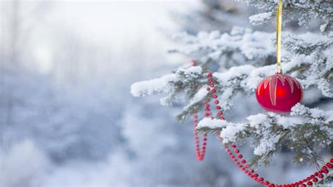 Christmas Tree Wallpapers HD (71+ images)