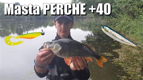 Pêche du carnassier Une BELLE journée riche en poisson PERCHE 40