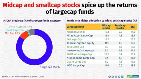 These 14 Midcap Winners Make It To Largecap Hotlist For Best Returns