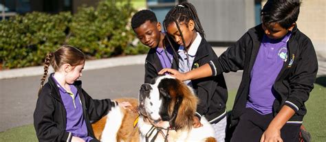 Wilandra Rise Primary School