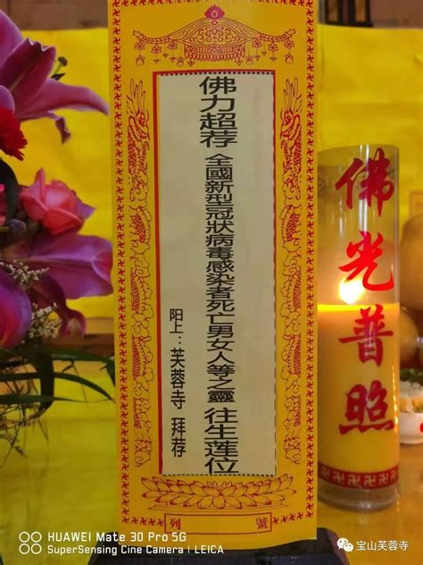 东莞芙蓉寺常住僧众举行《慈悲梁皇宝忏》息灾祈福法会 凤凰网