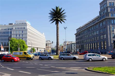 W końcu palma przy rondzie de Gaullea w Warszawie idzie do remontu