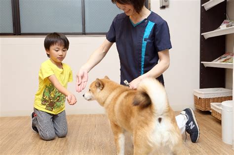 犬 トイレ しつけ 教室