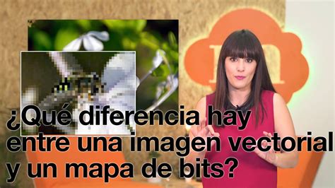 En Este Capítulo Explicamos La Diferencia Que Entre Una Imagen