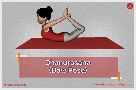 Dhanurasana Bow Pose Steps Image Benefits And More Artofit