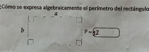 COMO SE EXPRESA ALGEBRAICAMENTE ÉL PERÍMETRO DEL RECTÁNGULO Brainly lat