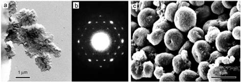 7 A Tem Image Of B Amylose Lamellar Crystals Prepared By In Vitro