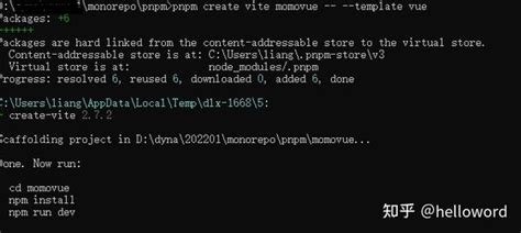 Vite Vue Typescript Pnpm Workspace Monorepo