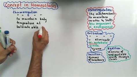 Introduction Of Homeostasis Class 12 Biology Youtube