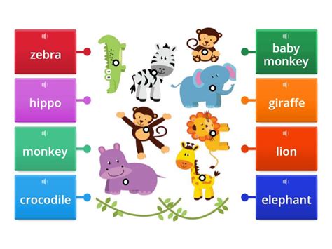 zoo animals labelled diagram