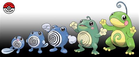 Poliwhirl Evolution