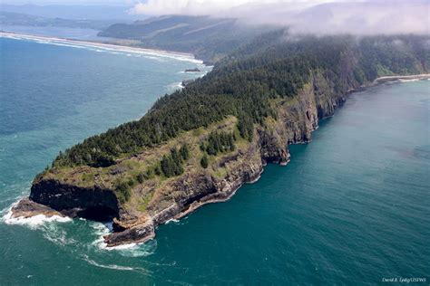 Cape Lookout Seven Capes Bird Alliance