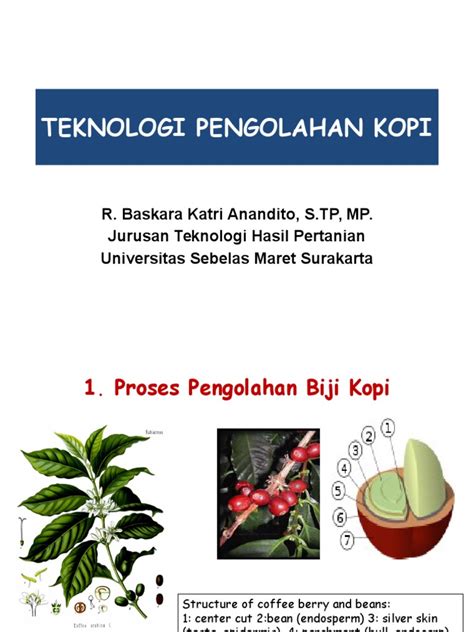 PDF Teknologi Pengolahan Kopi DOKUMEN TIPS