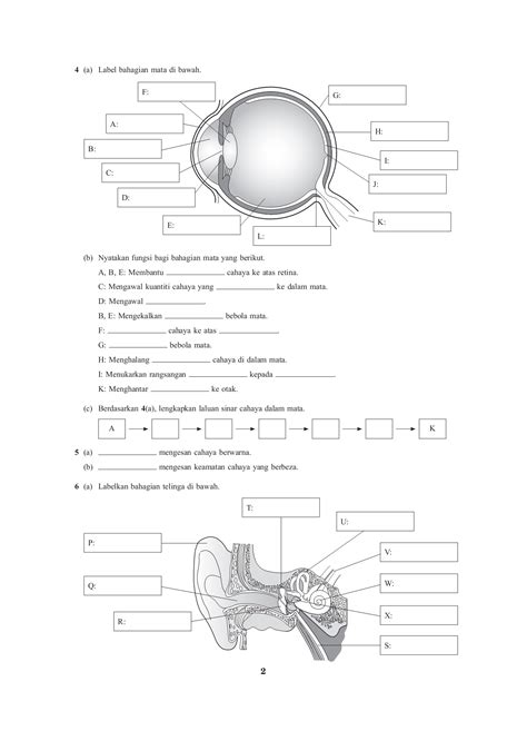 Latihan Sains Tingkatan 3 Bab 1 Dan 2 Pdf Riset Nbkomputer