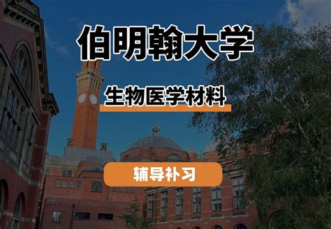 伯明翰大学uob伯大生物医学材料专业辅导补习补课二西听留学生课业辅导