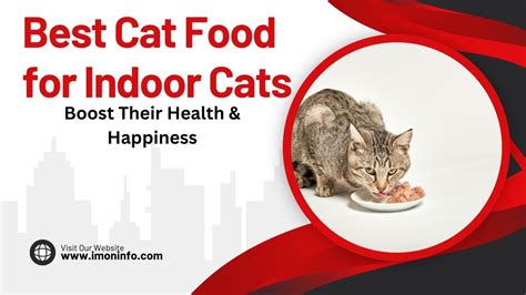 Best Cat Food for Indoor Cats : Boost Their Health & Happiness!