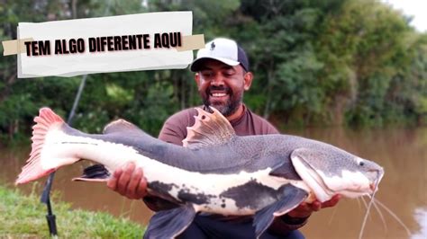 O Que Esses Peixes Desse Pesqueiro Tem De Diferente Pescaria De