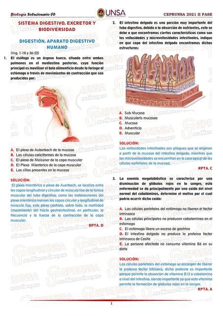 Sistema Digestivo Excreto Y Biodiversidad Y Esther Montoya Udocz