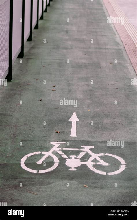 Bike Lane Symbol With A Direction Arrow On Ground Bicycle Trail Road