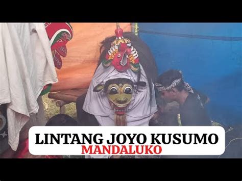 Macan Macanan Jaranan Lintang Joyo Kusumo Mandaluko Live Wonosari