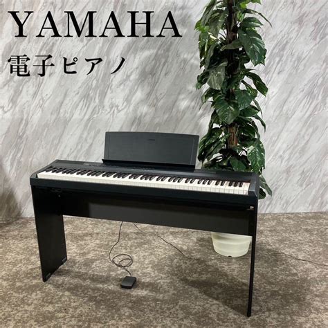 Yamaha P B F Swim Main Jp