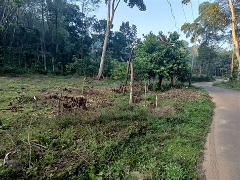 1 Acre For Sale At Pala Ponkunnam Eastern State Highway Buy Sell