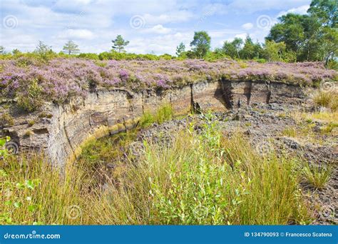 Irish Peat Bog Landscape Ireland Europe Stock Image Image Of Damp