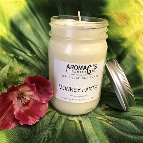 Monkey Farts Soy Candle | aromaG's Botanica