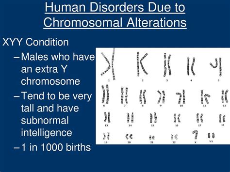 The Chromosomal Basis Of Interhitance Ppt Download