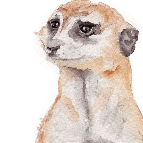 Meerkat Watercolor Painting X Giclee Fine Art Print Tiere Malen