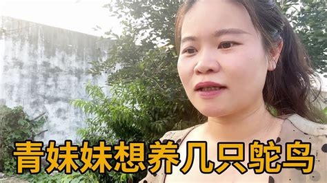 青妹妹想养几只鸵鸟，网友都建议不要养鸵鸟，又陷入迷茫了【青妹妹】 Youtube