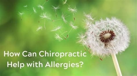 Chiropractic Care For Allergies Creekside Chiropractic