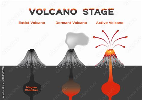 Photo & Art Print volcano stage infographic / extinct dormant and ...