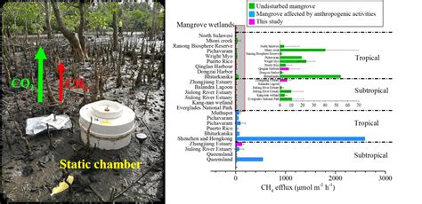 Forests Free Full Text Methane Emission From Mangrove Wetland Soils