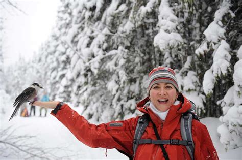 Gaspesie National Park Photo Gallery - Winter snowshoeing and skiing